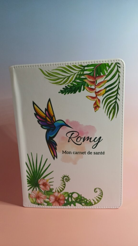 protege-carnet-de-sante