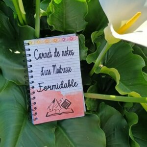 carnet-de-notes-couverture-surprise